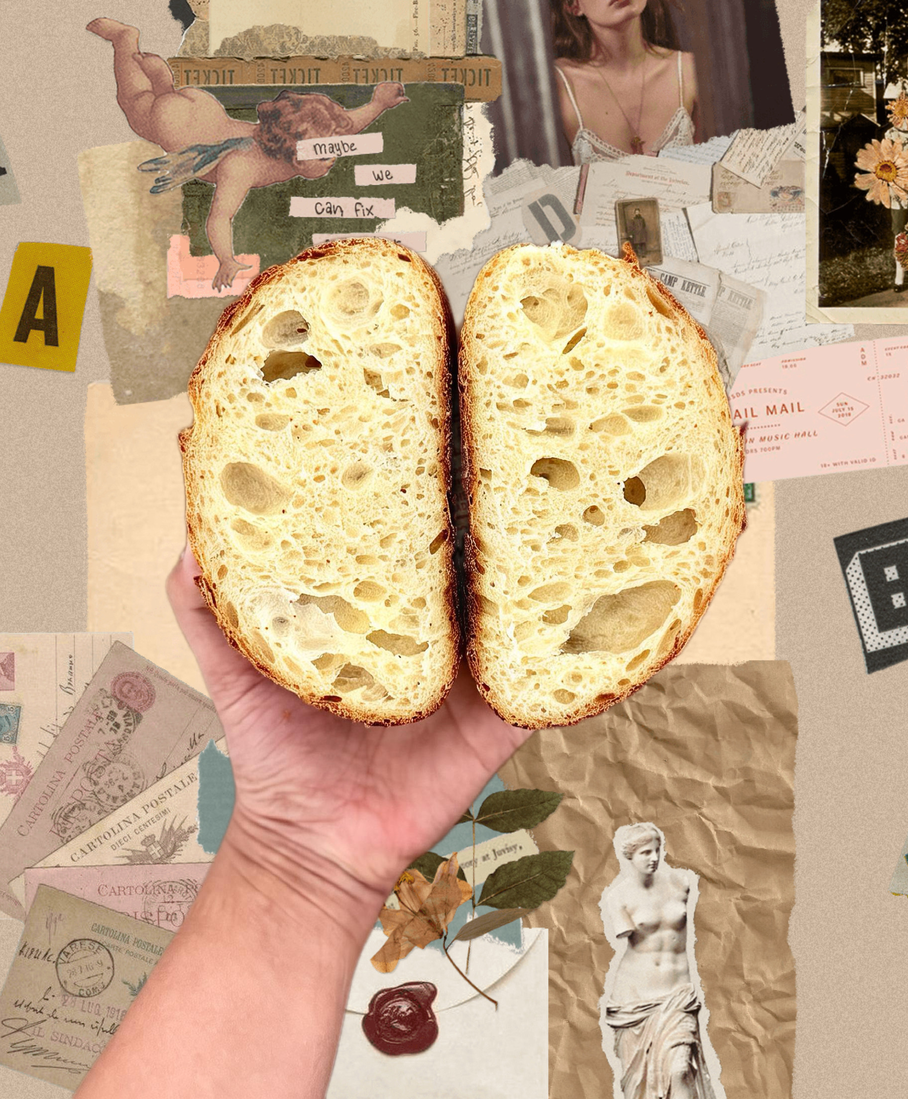 Fresh sourdough crumb texture